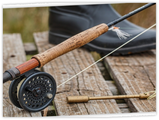 Рыбалка в пруду